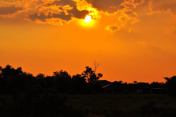 Amazing orange sunset nature scenic view