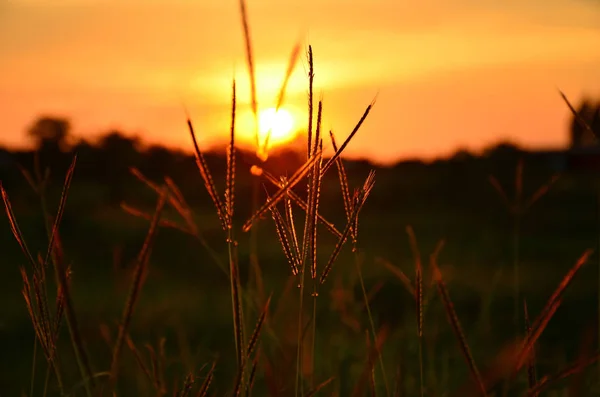 Amazing Orange Sunset Nature Scenic View — Stock Photo, Image