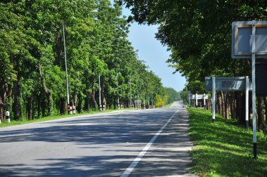 Güneşli bir günde doğada asfalt yol 