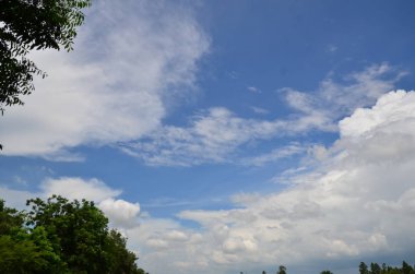 Tay güzel doğa manzara