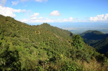 Tay güzel doğa manzara