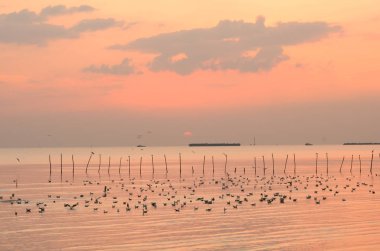 inanılmaz renkli günbatımı doğa manzara 