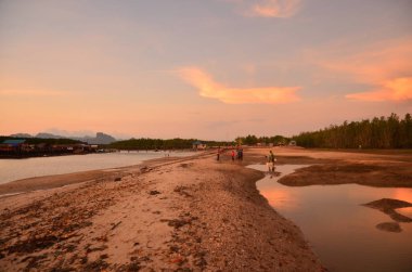 kumlu bir plaj üzerinde güzel gün batımı