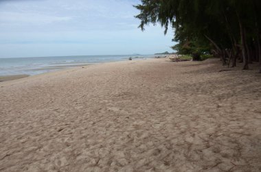 Gündüz vakti boş kumsal manzarası