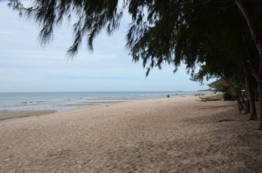 Gündüz vakti boş kumsal manzarası