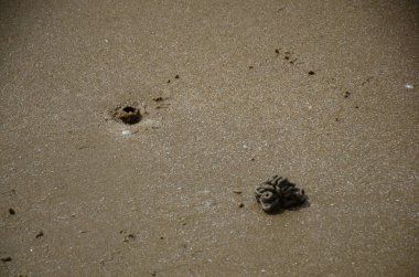 soyut dokulu kum yüzeyi arkaplan olarak 