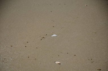 soyut dokulu kum yüzeyi arkaplan olarak 