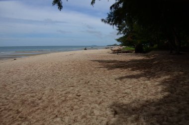 Gündüz vakti boş kumsal manzarası