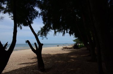 Güzel kumlu sahil manzarası