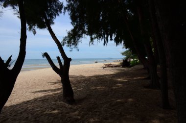 Güzel kumlu sahil manzarası