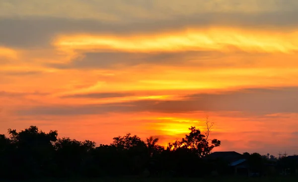 Incroyable Coucher Soleil Orange Vue Panoramique Sur Nature — Photo