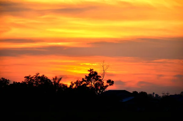 Incroyable Coucher Soleil Orange Vue Panoramique Sur Nature — Photo