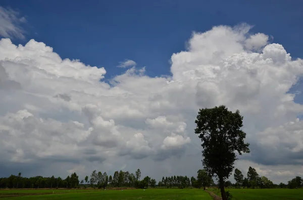 beautiful nature scenic view in Thai