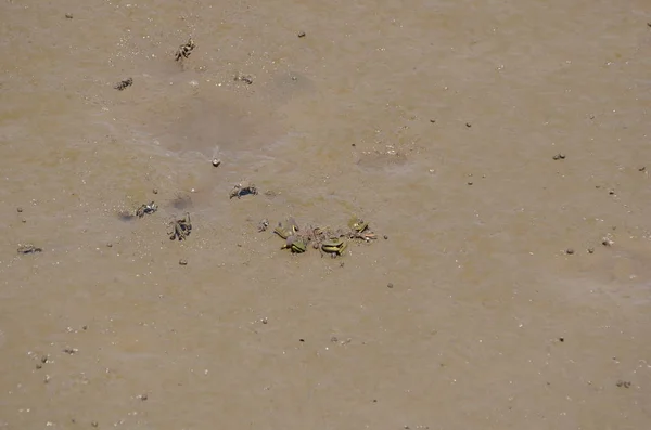 Абстрактная Текстурированная Поверхность Песка Качестве Фона — стоковое фото