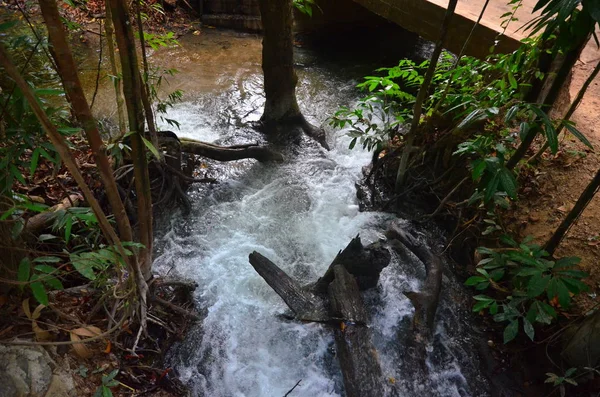 Bovenaanzicht Van Prachtige Waterval Bos — Stockfoto