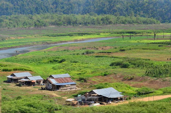 Rural Landscape Rice Fields Forest — Stock Photo, Image