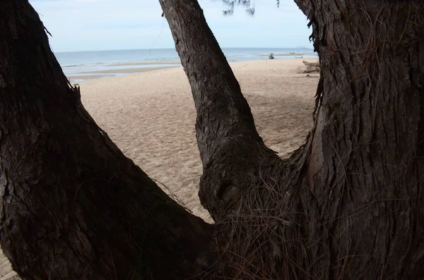 Pemandangan Pantai Berpasir Kosong Siang Hari — Stok Foto
