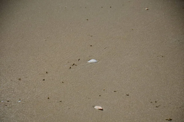 Абстрактная Текстурированная Поверхность Песка Качестве Фона — стоковое фото