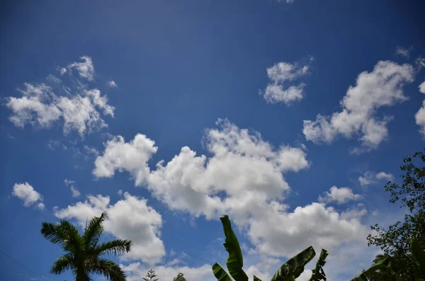 Hermoso Cielo Hermosas Nubes — Foto de Stock