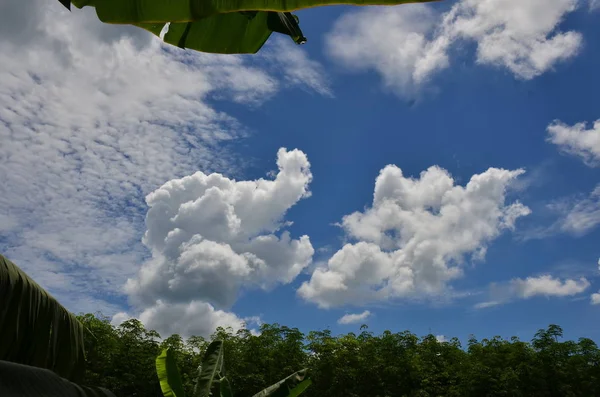 Schöner Himmel Und Schöne Wolken — Stockfoto