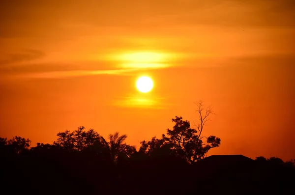 Goldgelber Himmel Bei Sonnenuntergang — Stockfoto