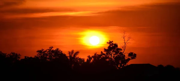 Ciel Jaune Doré Coucher Soleil — Photo