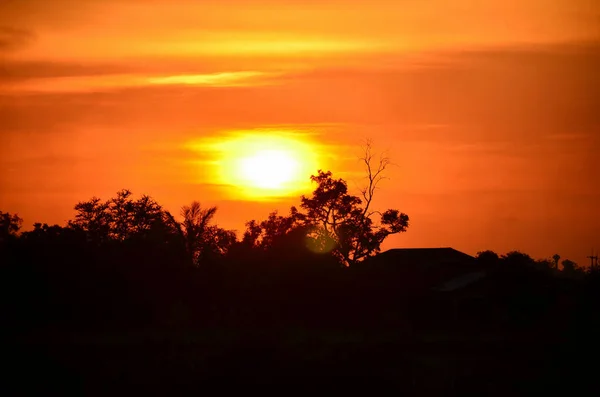 Cielo Amarillo Dorado Atardecer — Foto de Stock