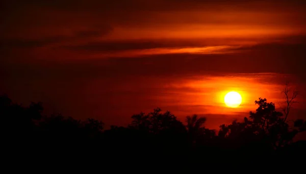 Goldgelber Himmel Bei Sonnenuntergang — Stockfoto