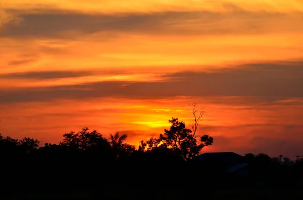 Gyllene Gula Himlen Vid Solnedgången — Stockfoto