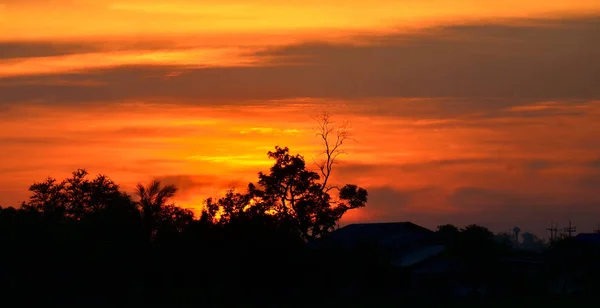 Goldgelber Himmel Bei Sonnenuntergang — Stockfoto