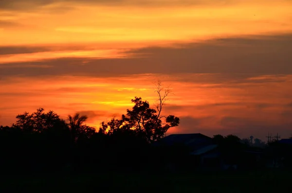 Goldgelber Himmel Bei Sonnenuntergang — Stockfoto