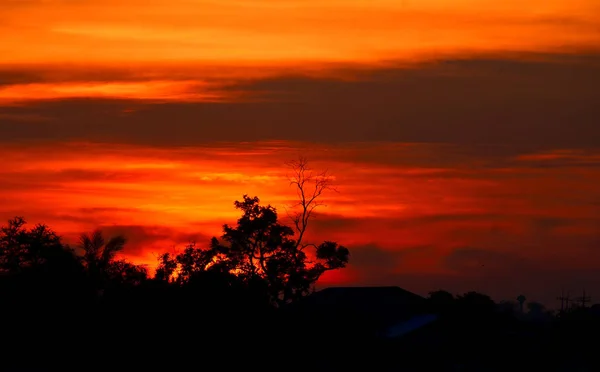 Gyllene Gula Himlen Vid Solnedgången — Stockfoto