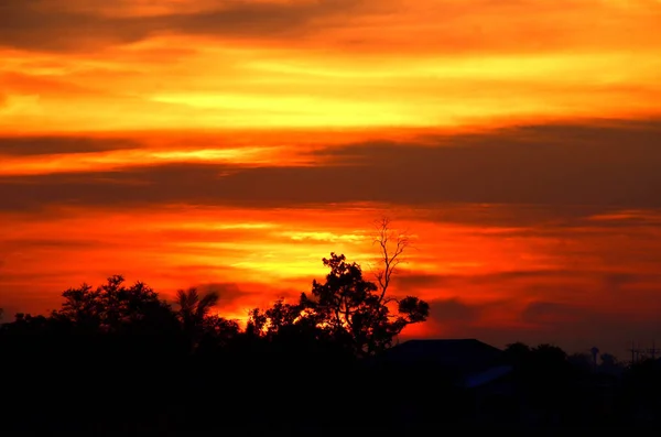 Gyllene Gula Himlen Vid Solnedgången — Stockfoto