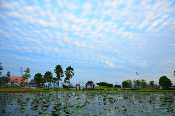 Increíble Cielo Azul Con Nubes Blancas —  Fotos de Stock