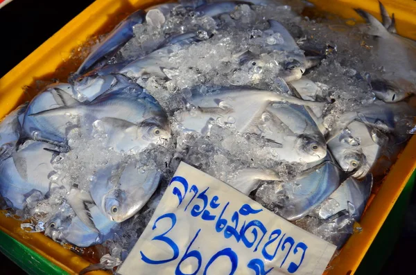 Fresh seafood of Thailand In the fresh market near the fishing port