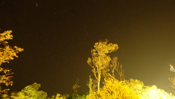 Vue Éclairage Ville Nuit — Photo