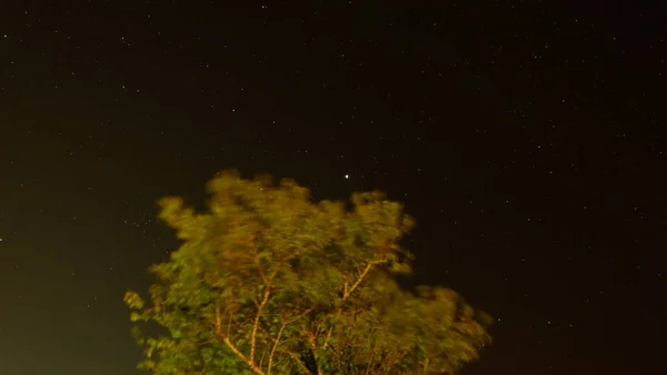 Uitzicht Donkere Nacht Met Sterren Aan Hemel Kopieer Ruimte — Stockfoto