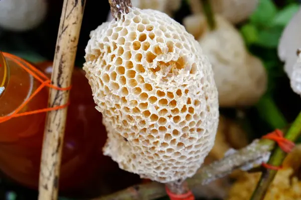Nahaufnahme Der Waben Frischer Honig Von Wildbienen — Stockfoto