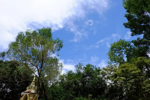 Cielo Azul Nublado Con Siluetas Árboles — Foto de Stock