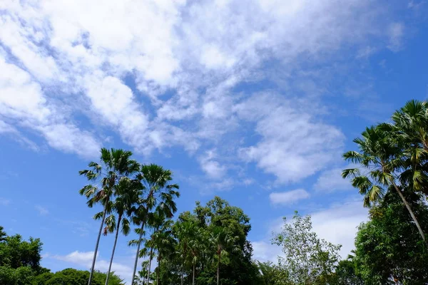 Vista Del Sol Brillando Cielo Azul Nublado — Foto de Stock