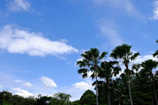 Vista Sol Brilhando Céu Azul Nublado — Fotografia de Stock