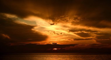 Sabahın erken saatlerinde denizin yanında sahilde yükselen güneş ve altın sarısı gökyüzü