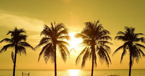 Sol Está Saliendo Cielo Amarillo Dorado Los Cocoteros Playa Junto — Foto de Stock