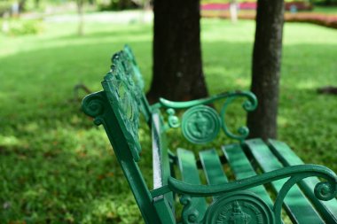 Güneşli parkta yeşil bank