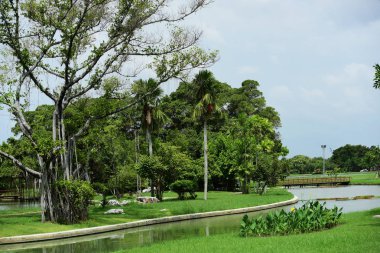 Gündüz vakti botanik bahçesinin yanından geçiyor. 