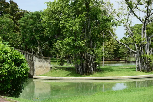 Caminhando Pelo Parque Arboreto Durante Dia — Fotografia de Stock