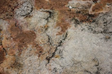 Karanlık müzedeki balina heykeli