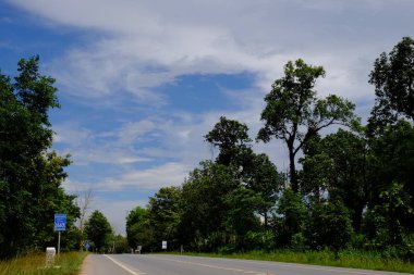 Ağaçlarla dolu dağ yolu. Yeşil ağaçlar ve gökyüzü ile doğal rota