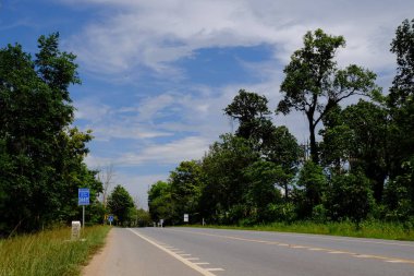 Ağaçlarla dolu dağ yolu. Yeşil ağaçlar ve gökyüzü ile doğal rota