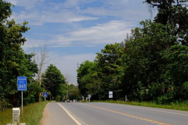 Ağaçlarla dolu dağ yolu. Yeşil ağaçlar ve gökyüzü ile doğal rota